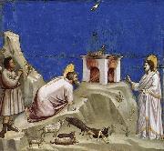 GIOTTO di Bondone Joachim-s Sacrificial Offering oil painting on canvas
